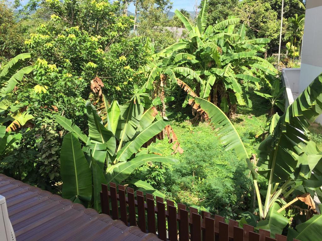 Samui Paca Place Bãi biển Bãi biển Mae Nam Ngoại thất bức ảnh