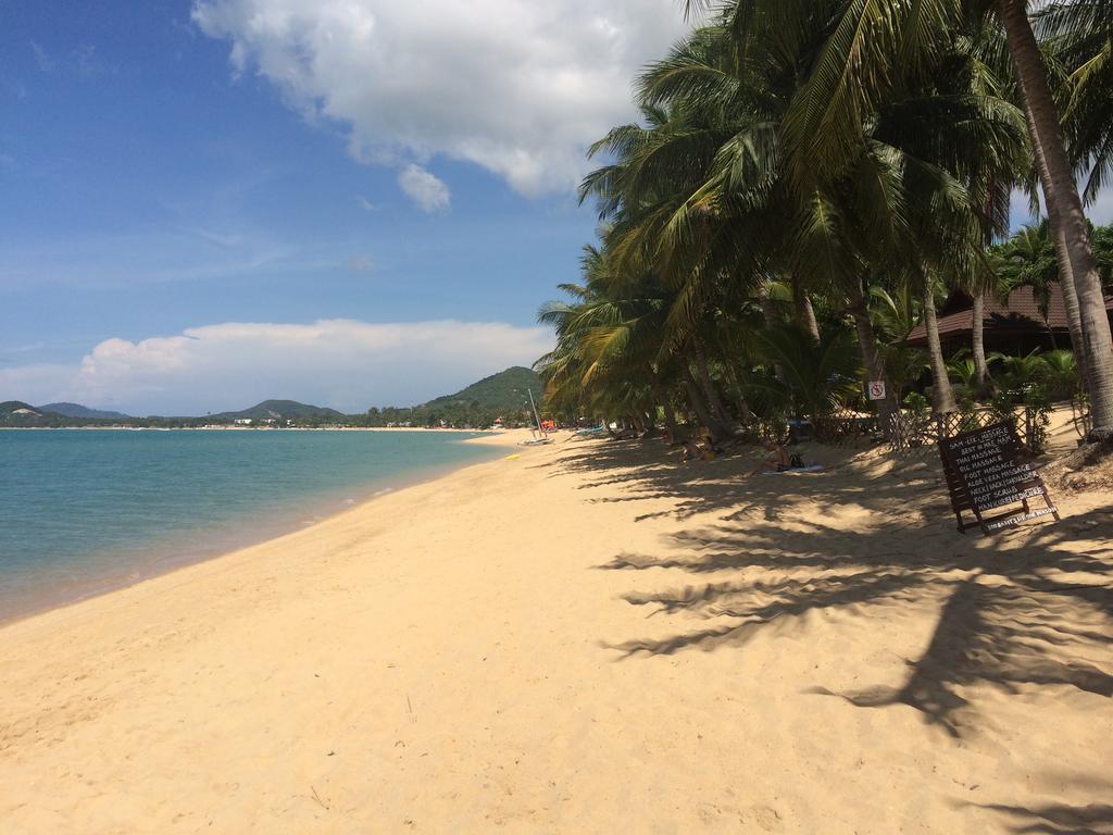 Samui Paca Place Bãi biển Bãi biển Mae Nam Ngoại thất bức ảnh